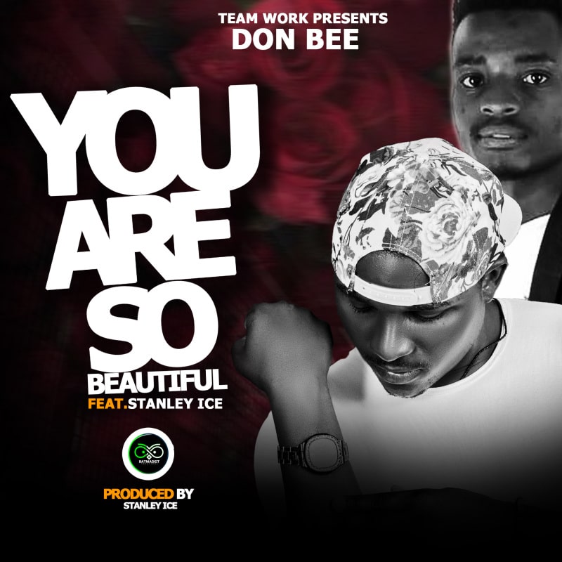 Don Bee Ft Stanley Ice – You’re So Beautiful