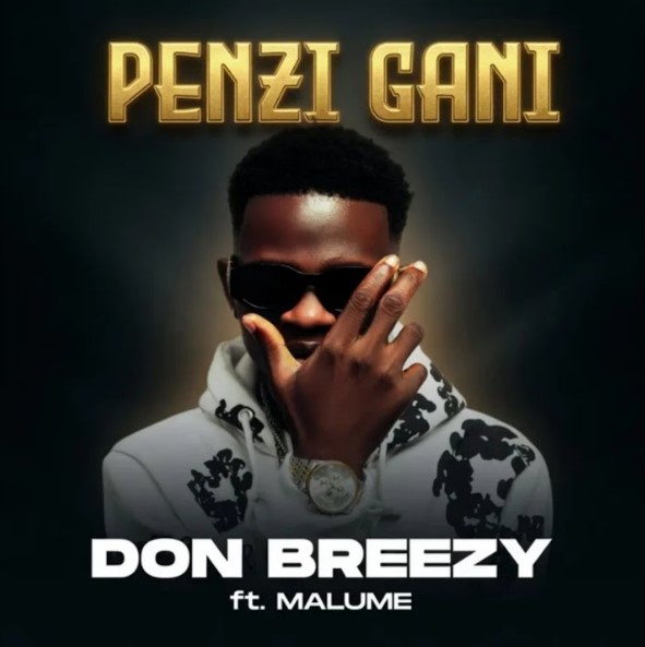Don Breezy Ft Malume β Penzi Gani