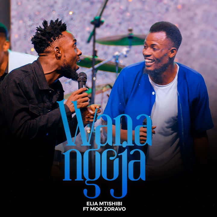 Elia Mtishibi Ft Zoravo – Wanangoja