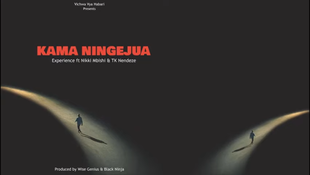 Experience Ft Nikki Mbishi & Tk Nendeze – Kama Ningejua