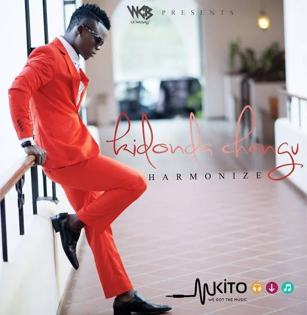 Harmonize Kidonda – Changu