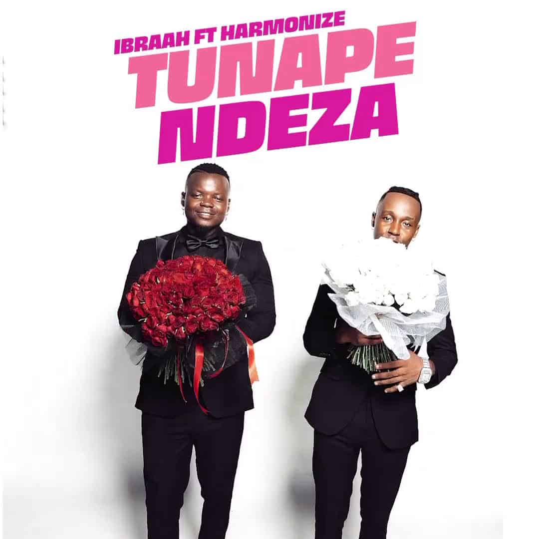 Ibraah Ft Harmonize – Tunapendeza