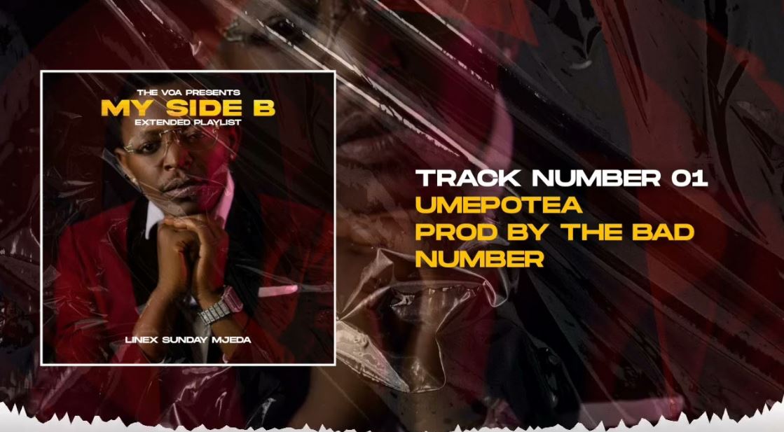 Linex – Umepotea