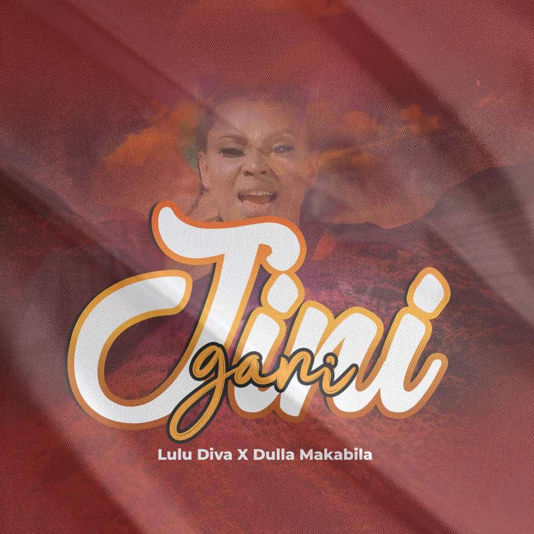 Lulu Diva X Dulla Makabila – Jini Gani
