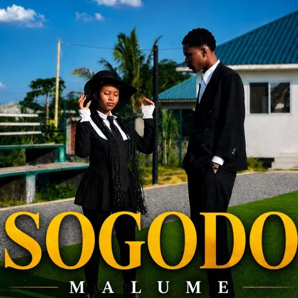 Malume – Sogodo (instrumental) Official Music Cover