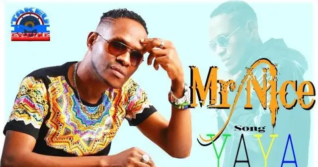 Mr Nice – Yaya
