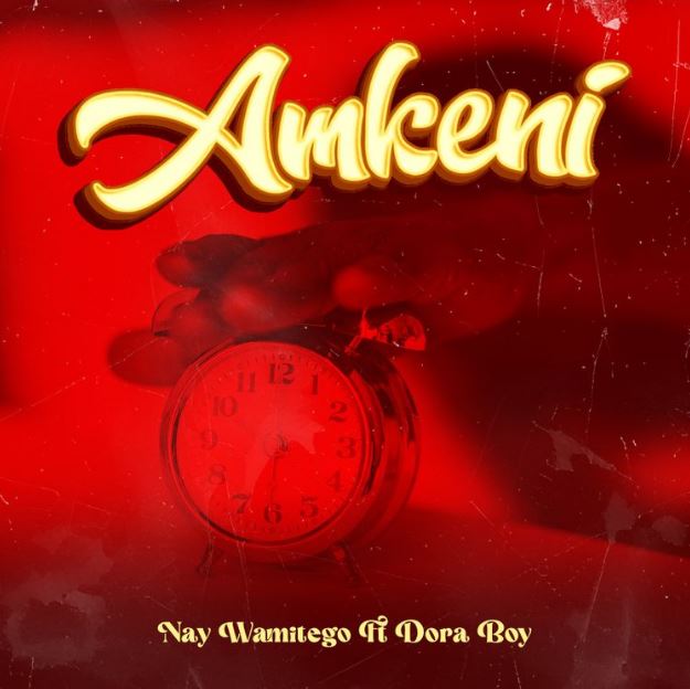 Nay Wa Mitego Ft Dora Boy – Amkeni