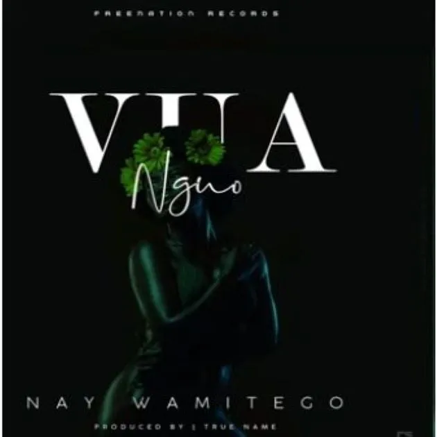 Nay Wa Mitego Vua – Nguo