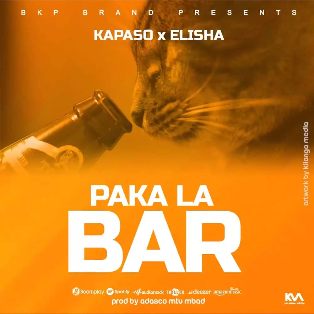 Kapaso Ft Elisha – Paka La Baa