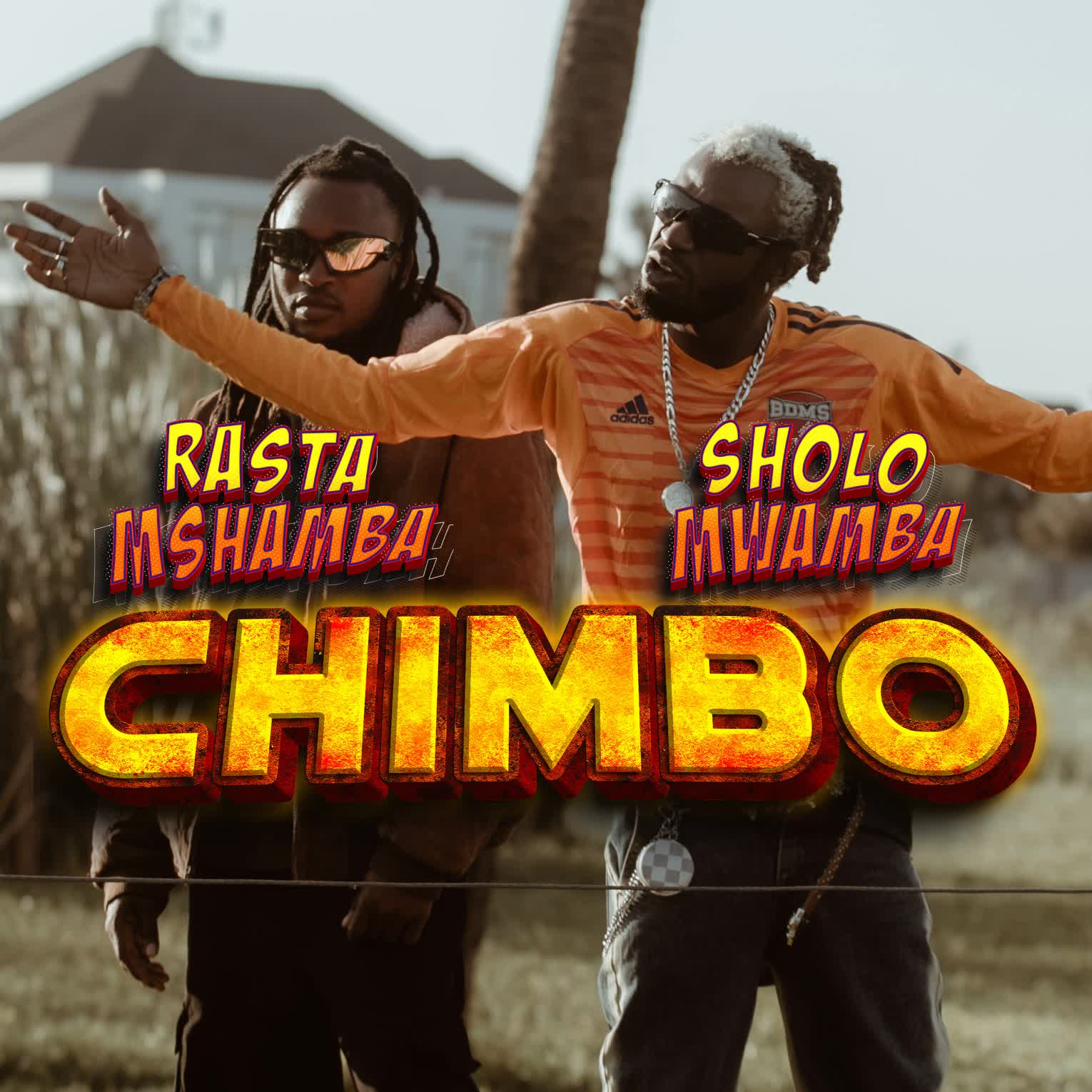 Rasta Mshambah Ft Sholo Mwamba – Chimbo