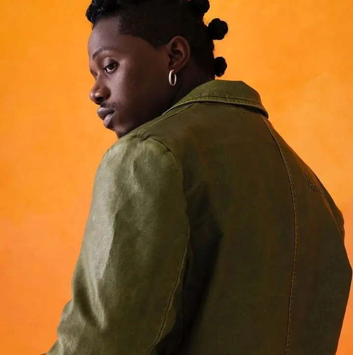 Rayvanny Ft Dj Davizo – Peponi