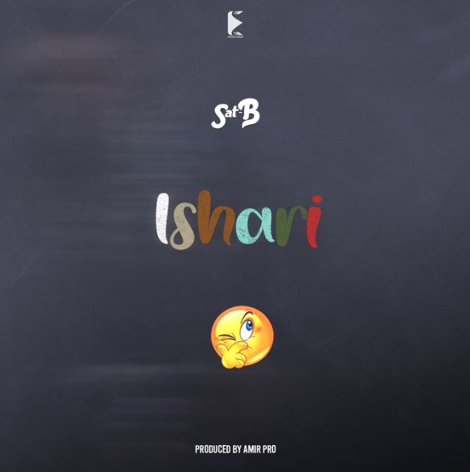 Sat-b Ishari