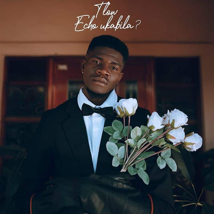 T-low Echo Ukabila