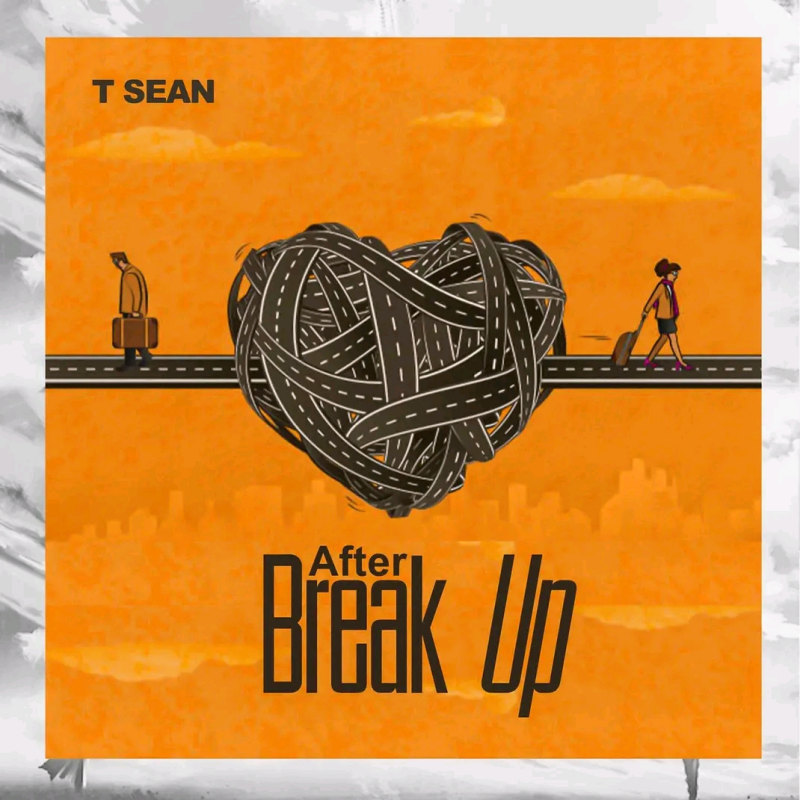 T Ft Er Break Up – Sean A