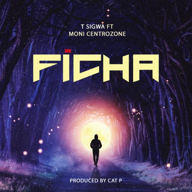 T Sigwa Ft Moni Centrozone & Cat P – Ficha