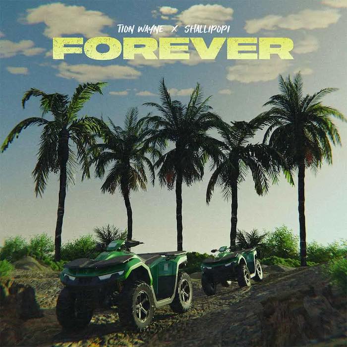 Tion Wayne Ft Shallipopi – Forever