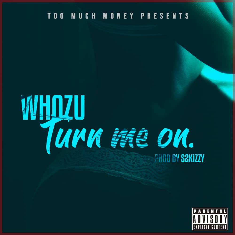 Whozu Ft S2kizzy – Turn Me On