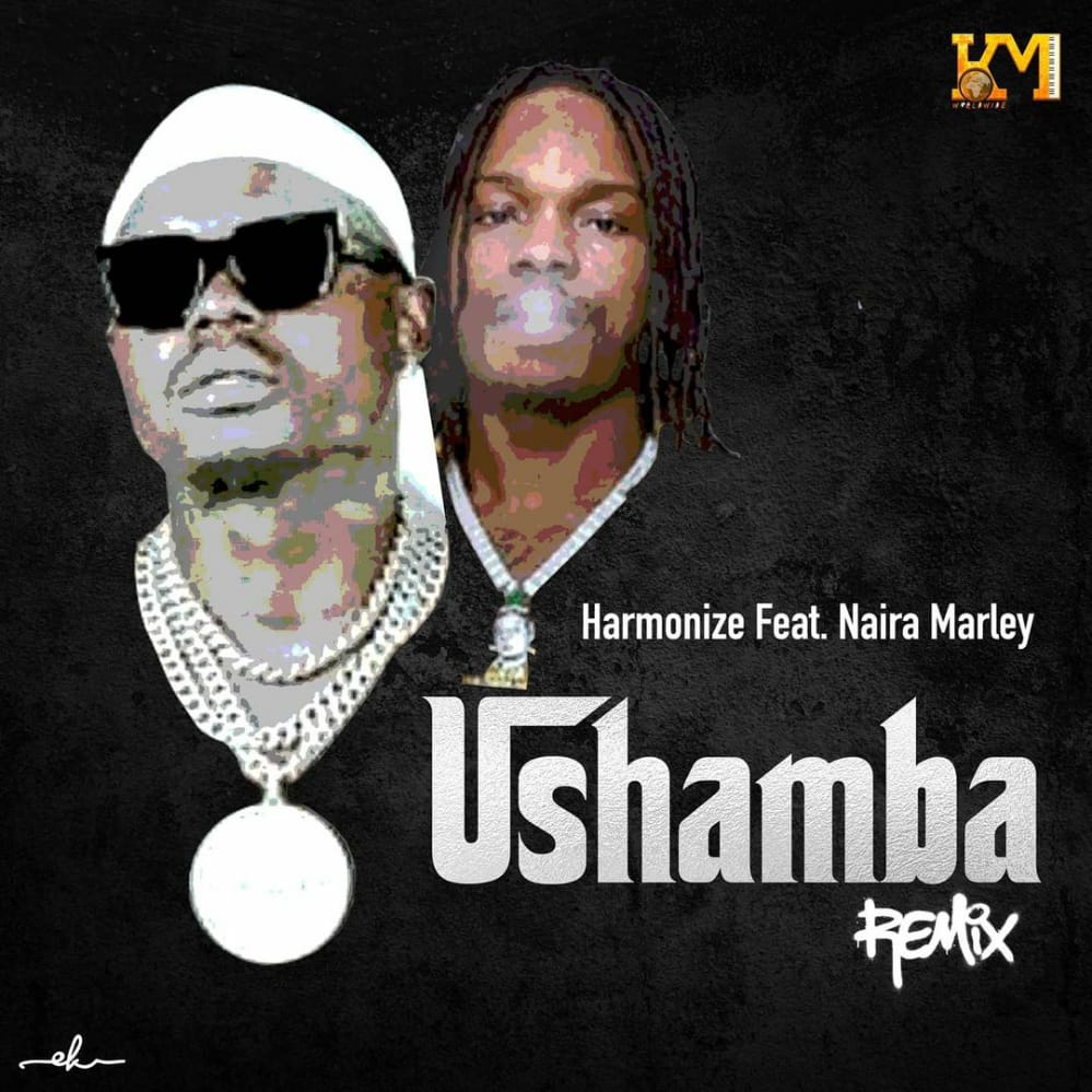 Harmonize Ft Naira Marley – Ushamba Remix