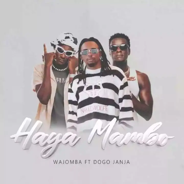Wajomba Ft Dogo Janja – Haya Mambo