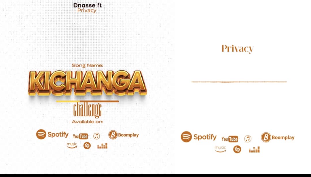 Dnasse Ft Privacy – Kichanga