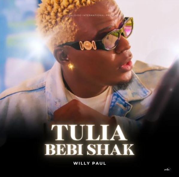 Willy Paul – Tulia