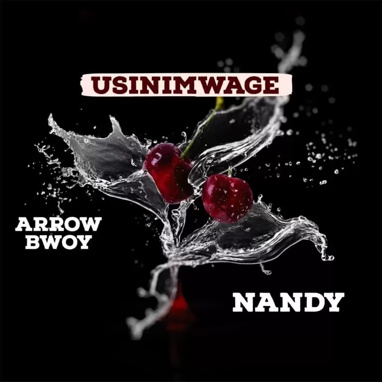 Arrow Bwoy Ft Nandy – Usinimwage