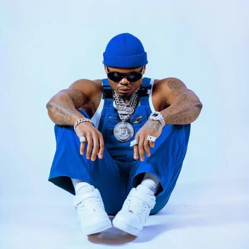 Harmonize Ft Bruce Melodie – The Way You Are