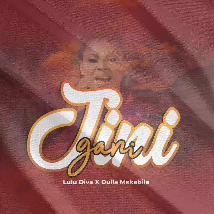 Lulu Diva Ft Dulla Makabila – Jini Gani