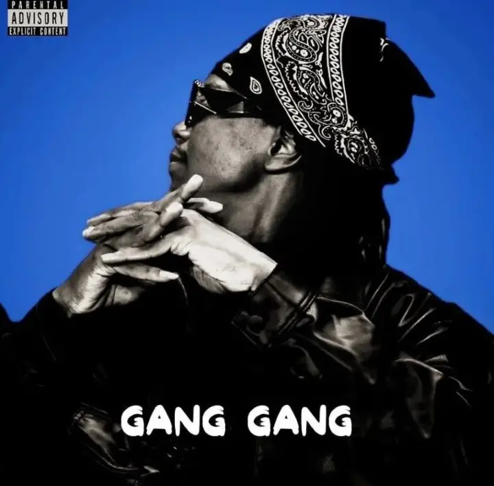 Msodoki Young Killer – Gang Gang