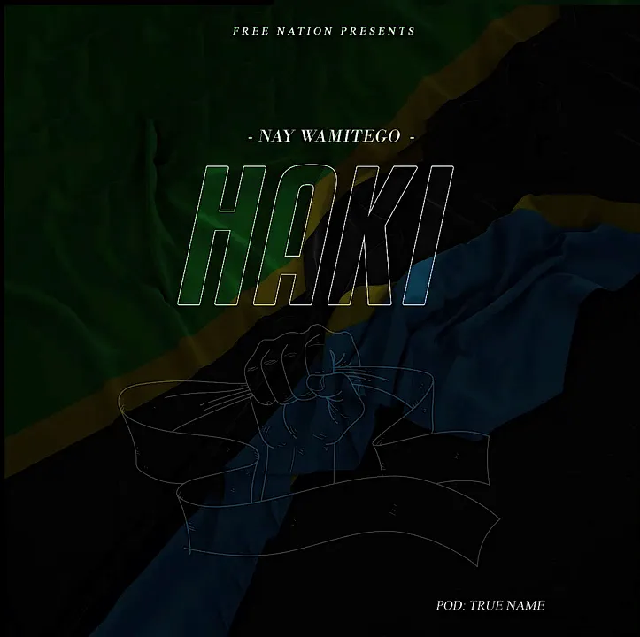 Nay Wa Mitego – Haki