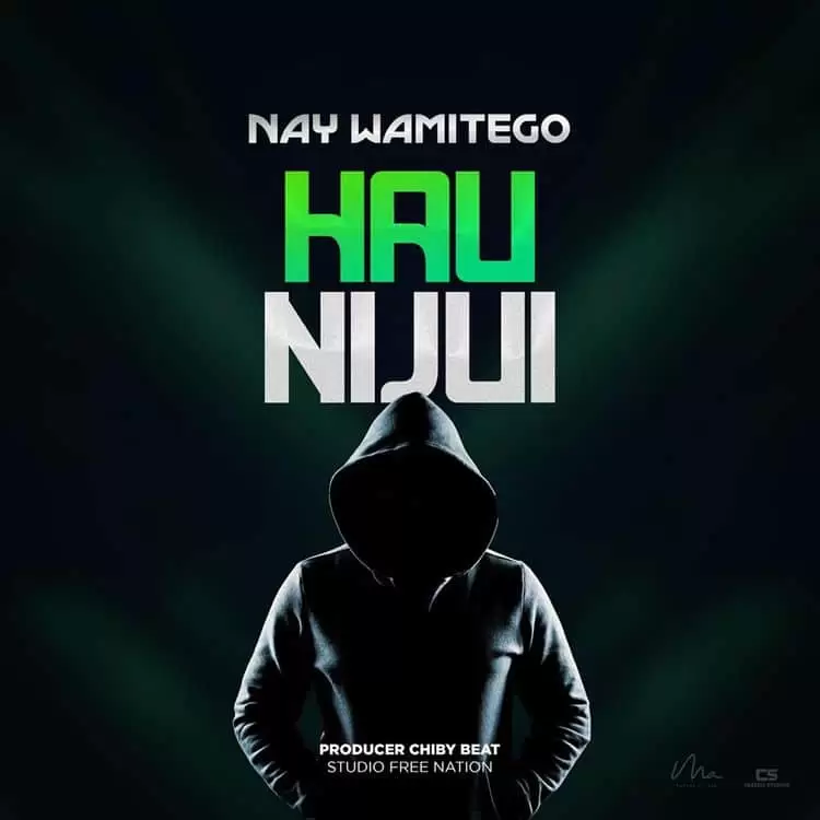 Nay Wa Mitego – Hunijui