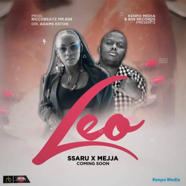 Ssaru & Mejja – Leo
