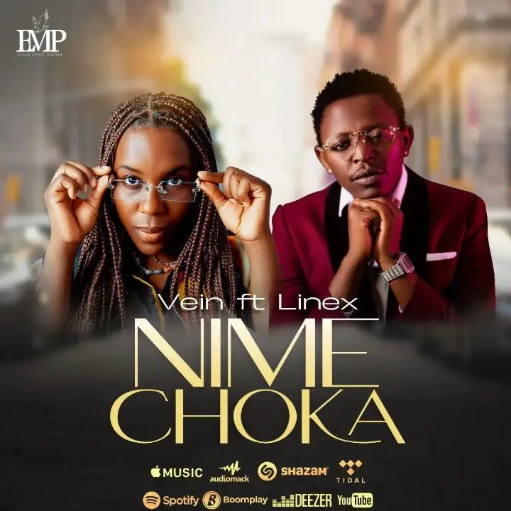 Vein Ft Linex – Nimechoka