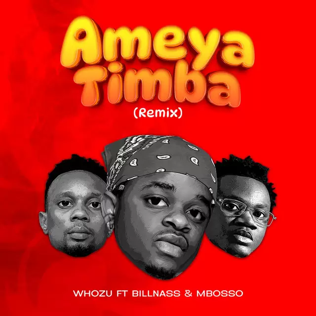 Whozu Ft Mbosso X Billnass – Ameyatimba Remix